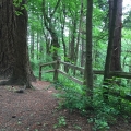 Mount Tabor Trail