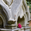 Lone Fir Cemetery Flower