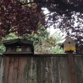 More Birdhouses