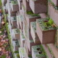 Mossy Bricks