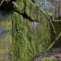 Mossy Wall (Marquam Nature Park)