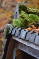 Mossy Roof, Portland Japanese Garden