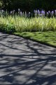 Spring Shadows, Kew Gardens, London