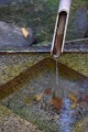 Water Feature, Portland Japanese Garden