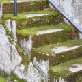 Mossy Steps