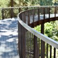 Tree Bridge (Hoyt Arboretum)